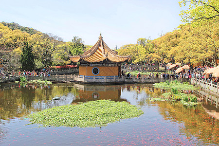 浙江普陀山浙江舟山普陀山普济寺背景