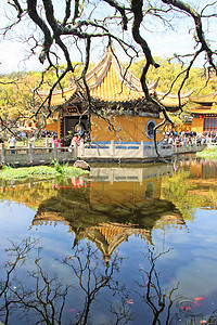 浙江普陀山浙江舟山普陀山普济寺背景