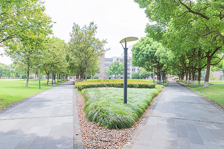 工程大学校园大学校园绿化背景