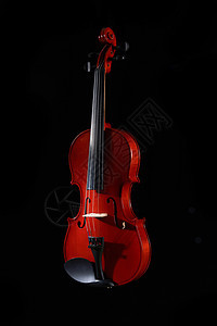 寂寞的小提琴图片