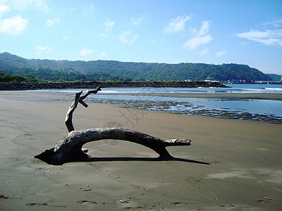 哥斯达黎加沿海风光黑沙滩图片