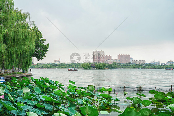 济南大明湖风景区图片