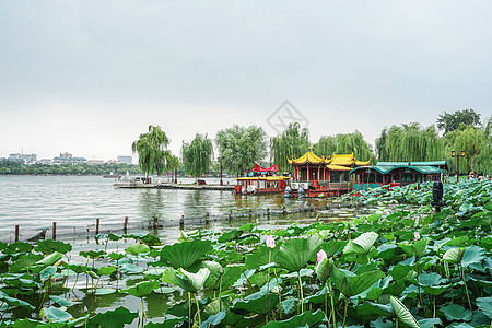 济南大明湖风景区图片