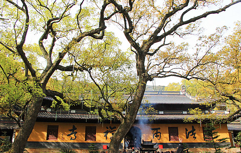 普陀山毛笔字浙江舟山普陀山法雨寺背景