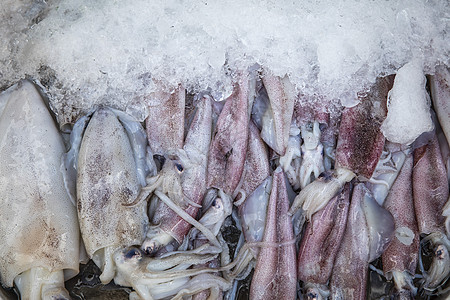 海鲜乌贼八爪鱼素材高清图片