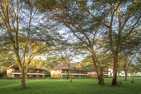 肯尼亚国家公园酒店风光图片