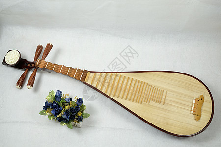 中国民族器乐琵琶背景图片