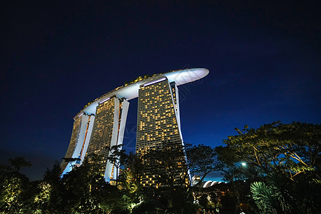 新加坡金沙空中花园夜景背景