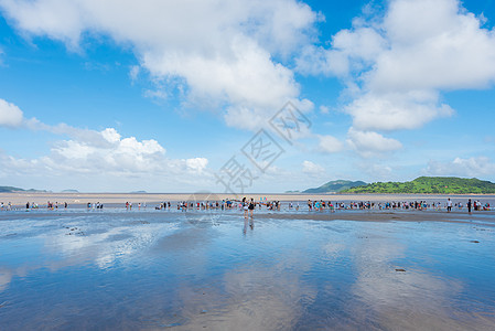 夏日海滨风光图片