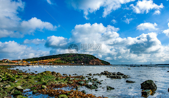 白云大海天鹅图片