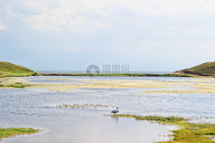 新疆巴音布鲁克草原天鹅湖图片