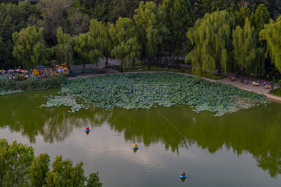 青年湖图片