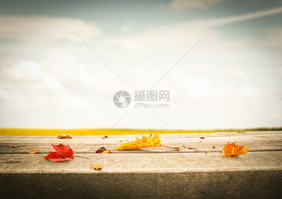 秋天落叶图片