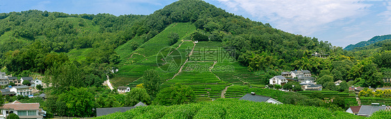 浙江省杭州市西湖龙井村全景图图片