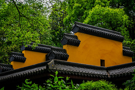 绿茵围绕的杭州灵隐寺背景图片