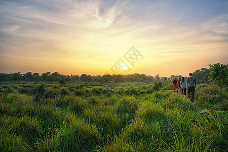 尼泊尔奇特旺国家公园夕阳风光背景图片