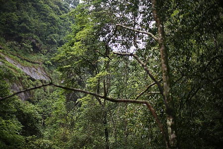 武夷山九龙瀑布风景区背景图片