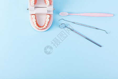 假牙模型护齿工具图片