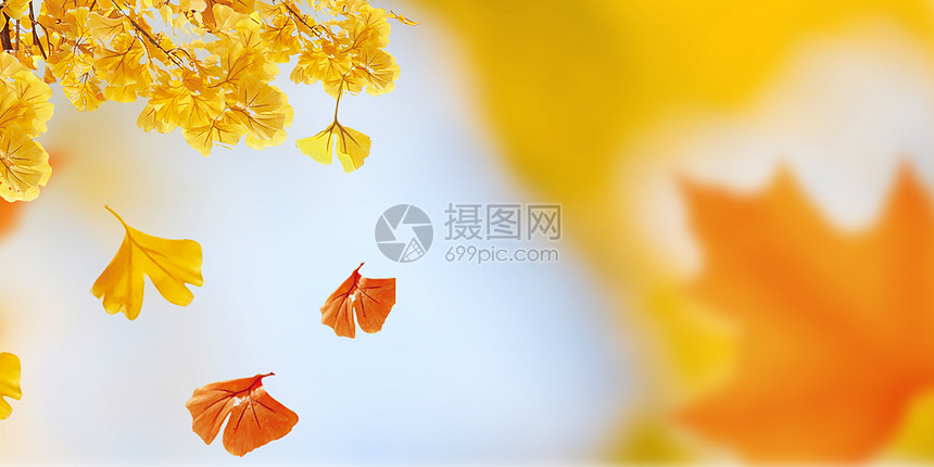 秋天背景图片素材 正版创意图片 摄图网