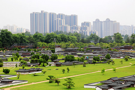 大明宫背景图片