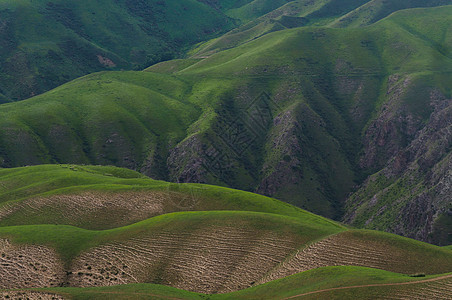 新疆喀拉峻人体草原图片