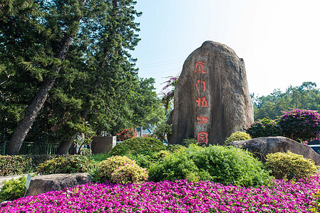 厦门植物园厦门植物园高清图片