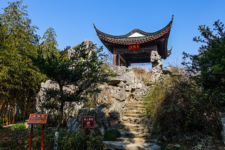 明清园上海朱家角古镇课植园背景