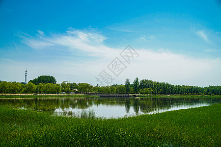 绿色圆北京野鸭湖国家公园景色背景