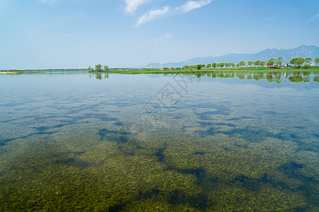 北京野鸭湖国家公园景色图片