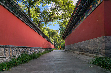 古生态园北京卧佛寺外古墙背景