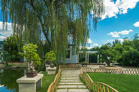 公园运动北京植物园景色背景