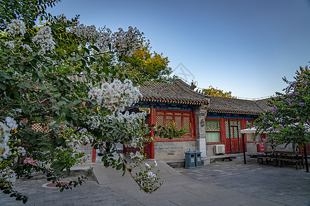 植物北京北京恭王府背景