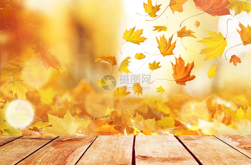 秋叶背景图片素材 正版创意图片 摄图网
