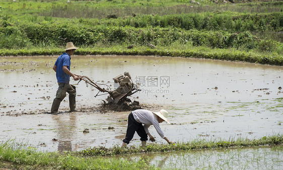 阳朔农民劳作图片