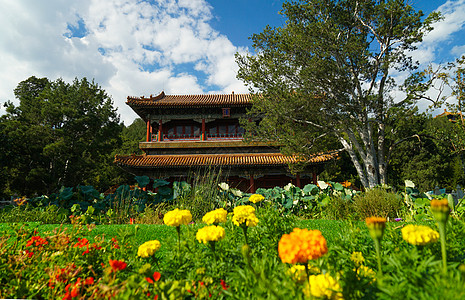 北京夏末初秋的景山公园背景图片