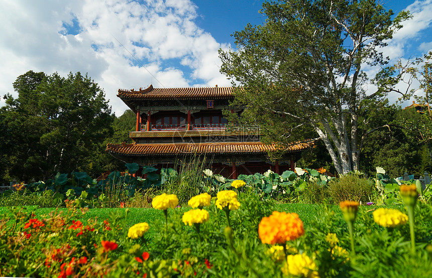 北京夏末初秋的景山公园图片