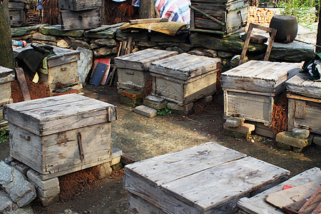 养蜂人的蜂箱图片