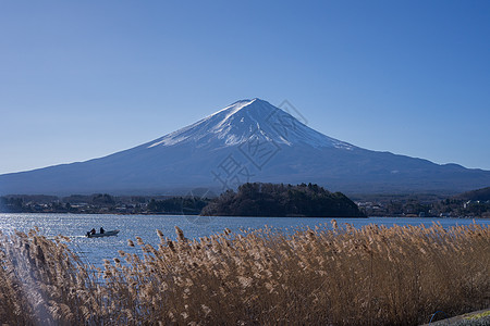 日本本州岛秋天的富士山背景