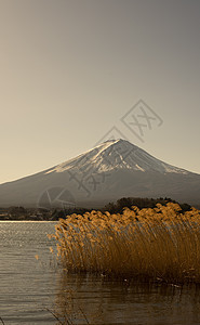 秋天的富士山图片