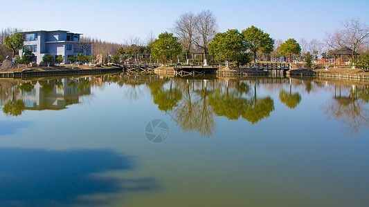 上海崇明西滩湿地公园图片