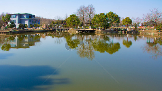 上海崇明西滩湿地公园图片