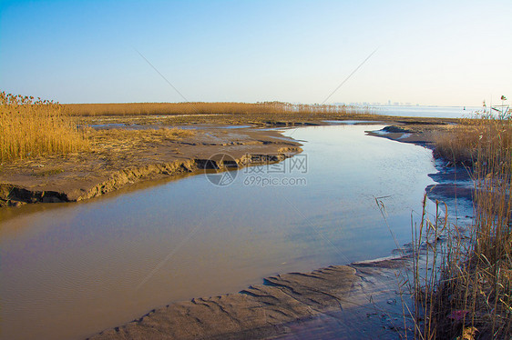 上海崇明西滩湿地公园图片