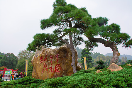 湖南毛主席铜像广场图片