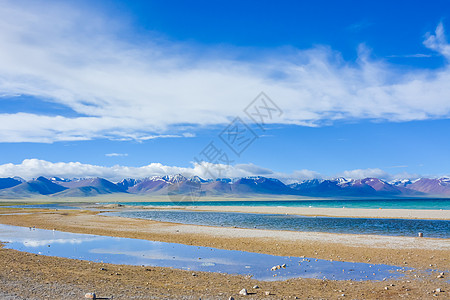 西藏羊湖风光背景图片