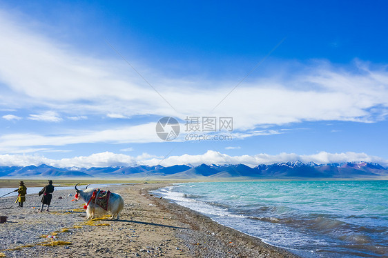 西藏羊湖风光图片