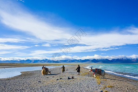 西藏羊湖风光图片