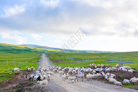 青藏公路沿途风光背景图片