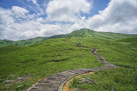 福建鸳鸯头草场风景区背景图片