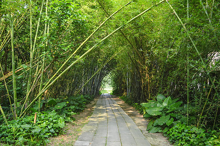 开平碉楼风景区图片