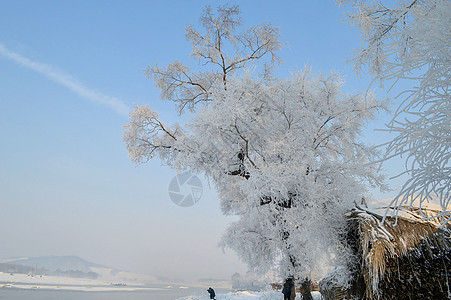 雾凇岛风景图片